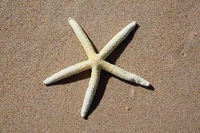 《暗影火炬城》透露更新计划：先修BUG再添内容